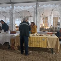 Feira Anual de Melides 2023