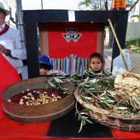 Carnaval de Melides