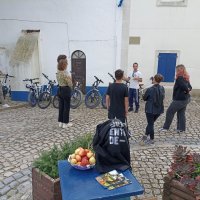 Minitour de bicicletas elétricas pelos monumentos megalíticos