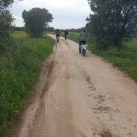 Minitour de bicicletas elétricas pelos monumentos megalíticos