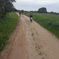 Minitour de bicicletas elétricas pelos monumentos megalíticos