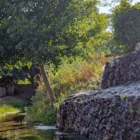 Fonte dos Olhos Amieiro